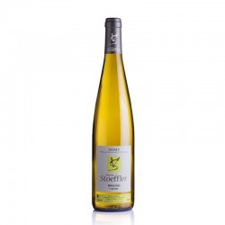 RIESLING - 1 bouteille