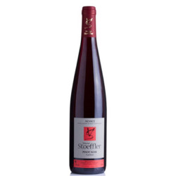 PINOT NOIR TRADITION 2023 -...