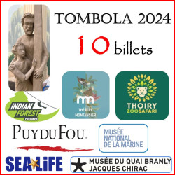 10 BILLETS DE TOMBOLA